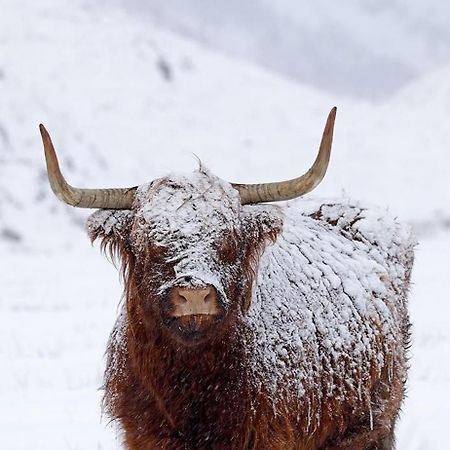Ben Nevis Manor Lodge & Indoor Private Hot-Tub Fort William Exterior foto